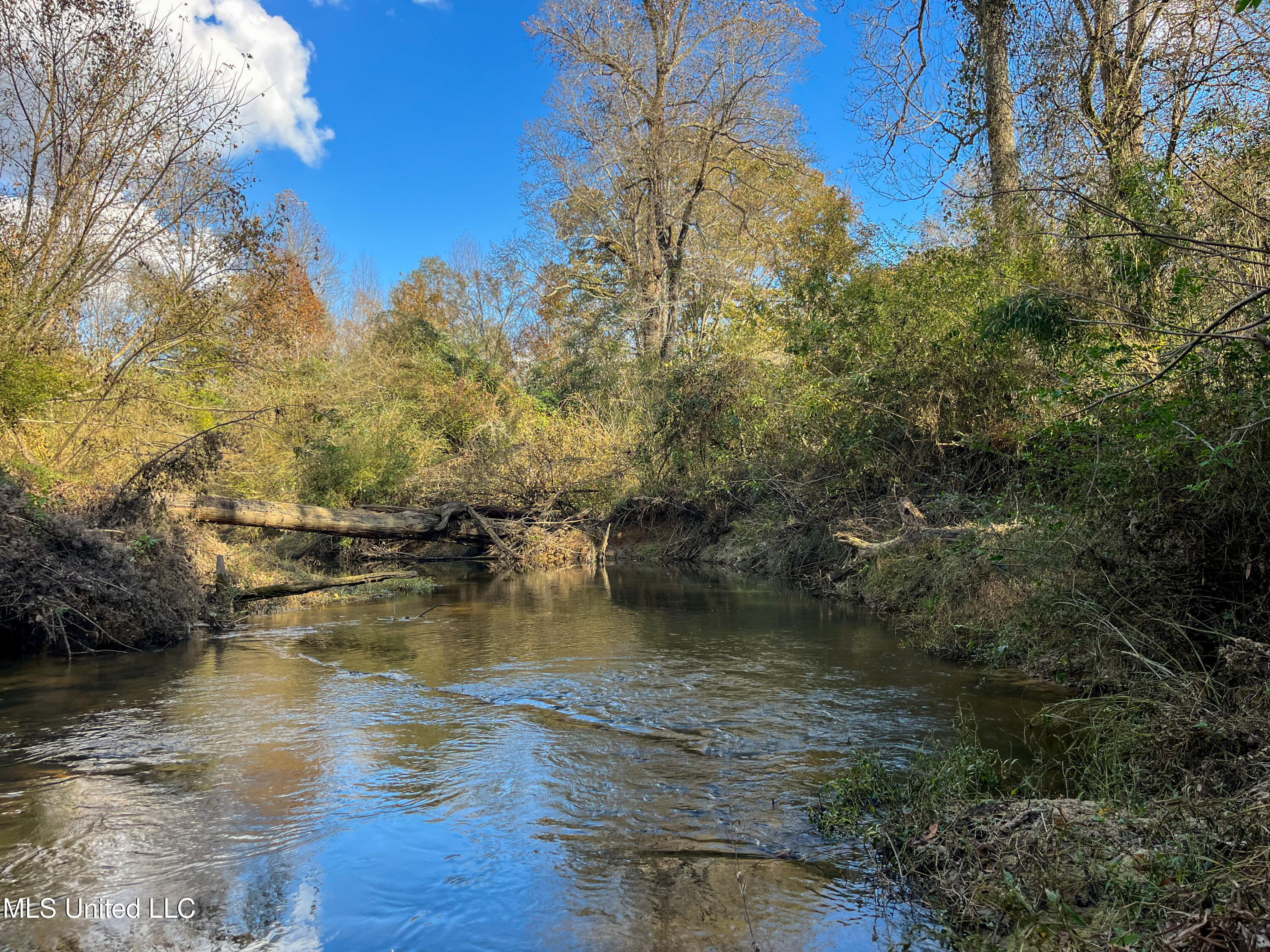80.8 Acres Carthage, MS 39051 - Photo 30 of 68 IMG_1498