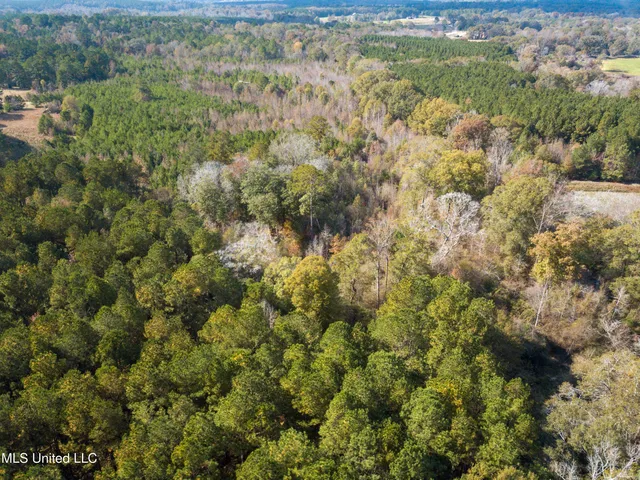 $210,080 | 80.8 Acres, Carthage, MS 39051