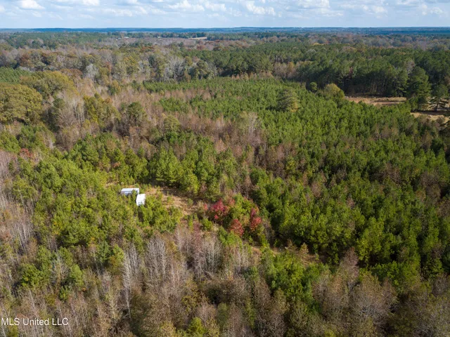$210,080 | 80.8 Acres, Carthage, MS 39051