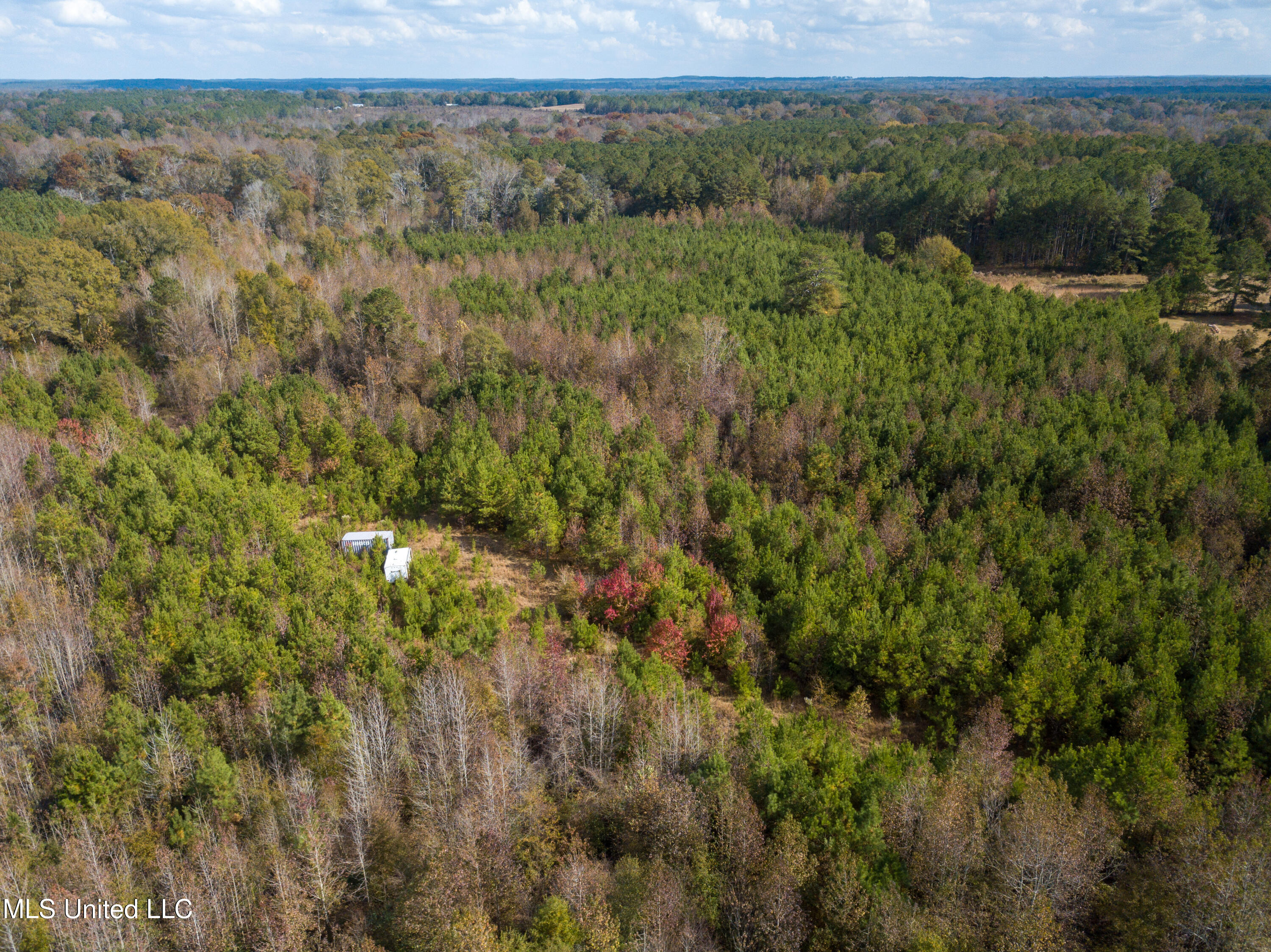 80.8 Acres Carthage, MS 39051 - Photo 34 of 68 DJI_0701