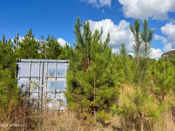 $210,080 | 80.8 Acres, Carthage, MS 39051