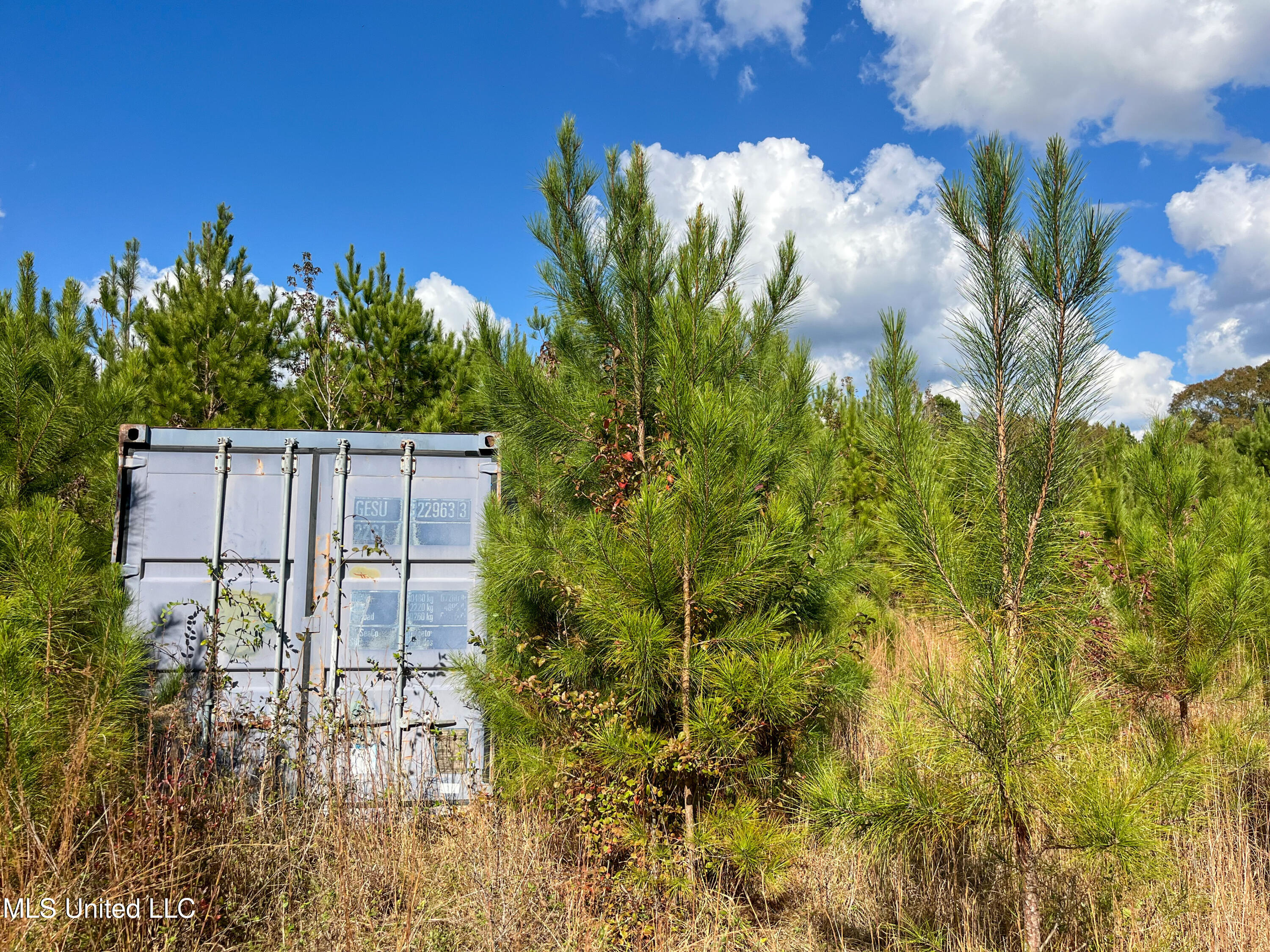 80.8 Acres Carthage, MS 39051 - Photo 35 of 68 IMG_1467