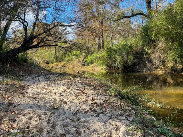 $210,080 | 80.8 Acres, Carthage, MS 39051