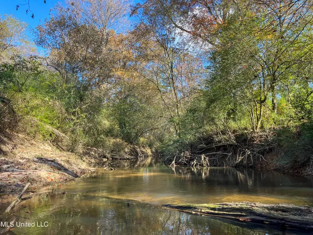 $210,080 | 80.8 Acres, Carthage, MS 39051