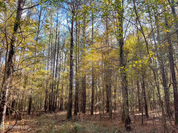$210,080 | 80.8 Acres, Carthage, MS 39051