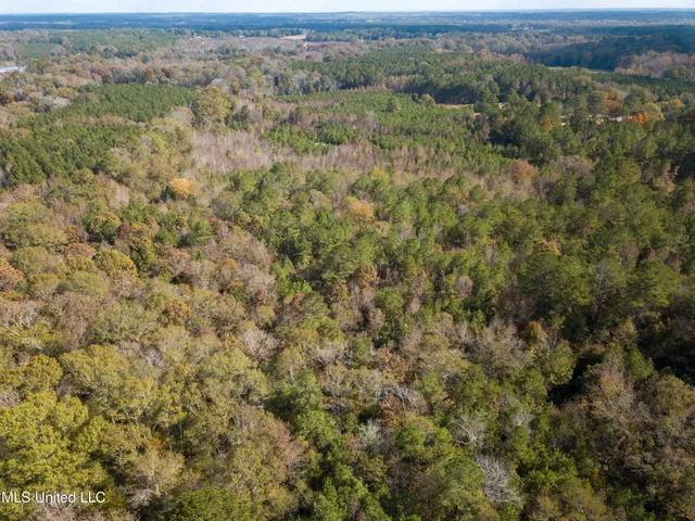 $210,080 | 80.8 Acres, Carthage, MS 39051