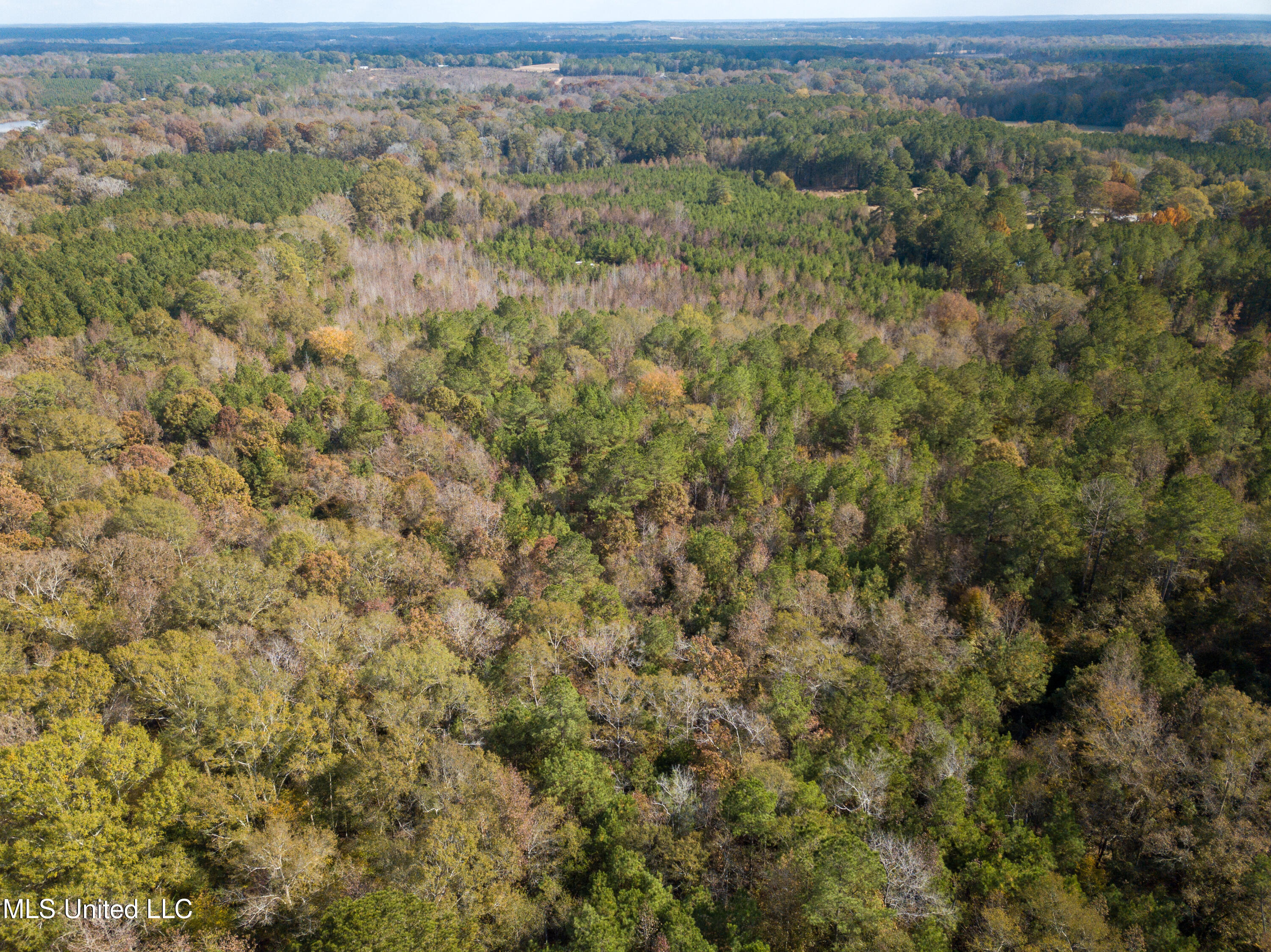 80.8 Acres Carthage, MS 39051 - Photo 5 of 68 DJI_0674