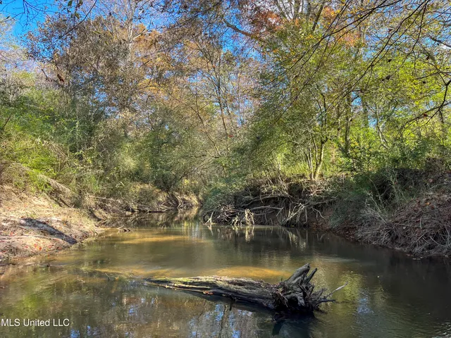 $210,080 | 80.8 Acres, Carthage, MS 39051