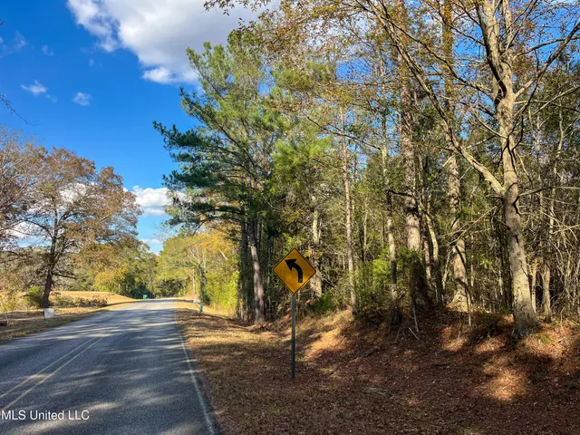 $210,080 | 80.8 Acres, Carthage, MS 39051