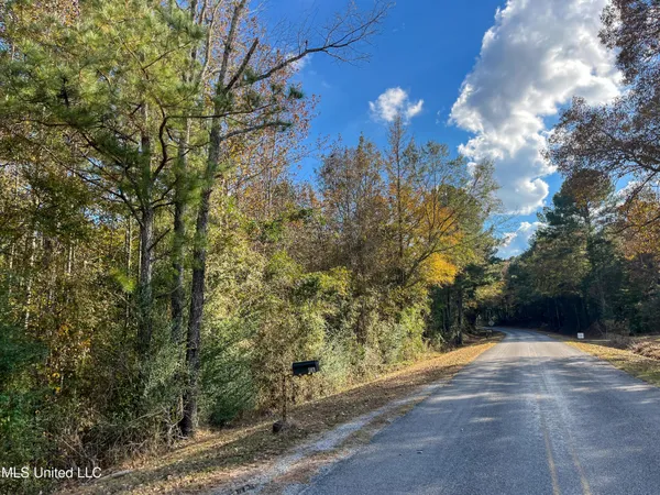 $210,080 | 80.8 Acres, Carthage, MS 39051