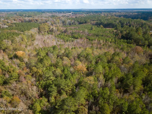 $210,080 | 80.8 Acres, Carthage, MS 39051