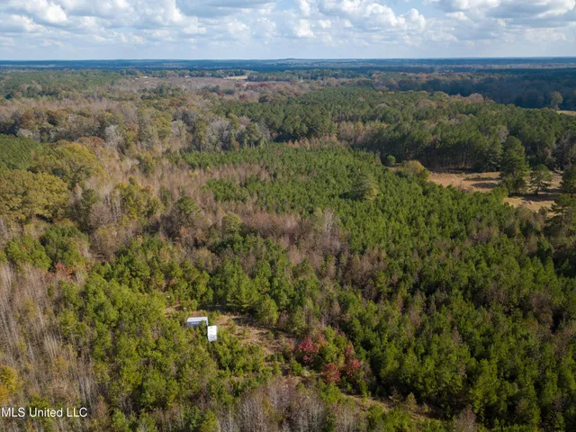 $210,080 | 80.8 Acres, Carthage, MS 39051