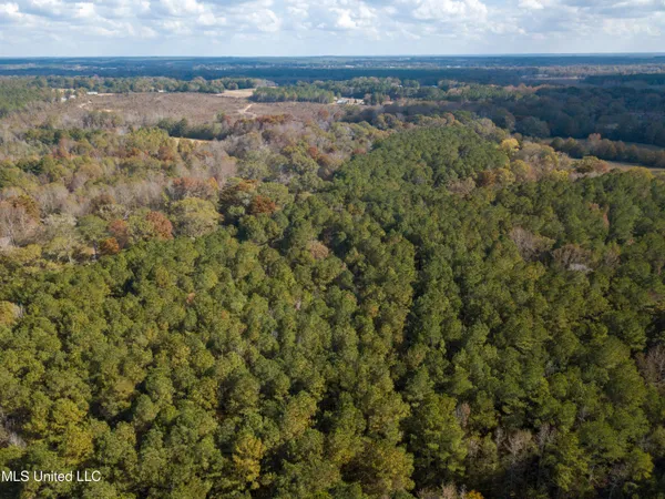 $210,080 | 80.8 Acres, Carthage, MS 39051