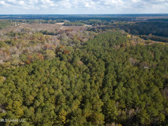 $210,080 | 80.8 Acres, Carthage, MS 39051