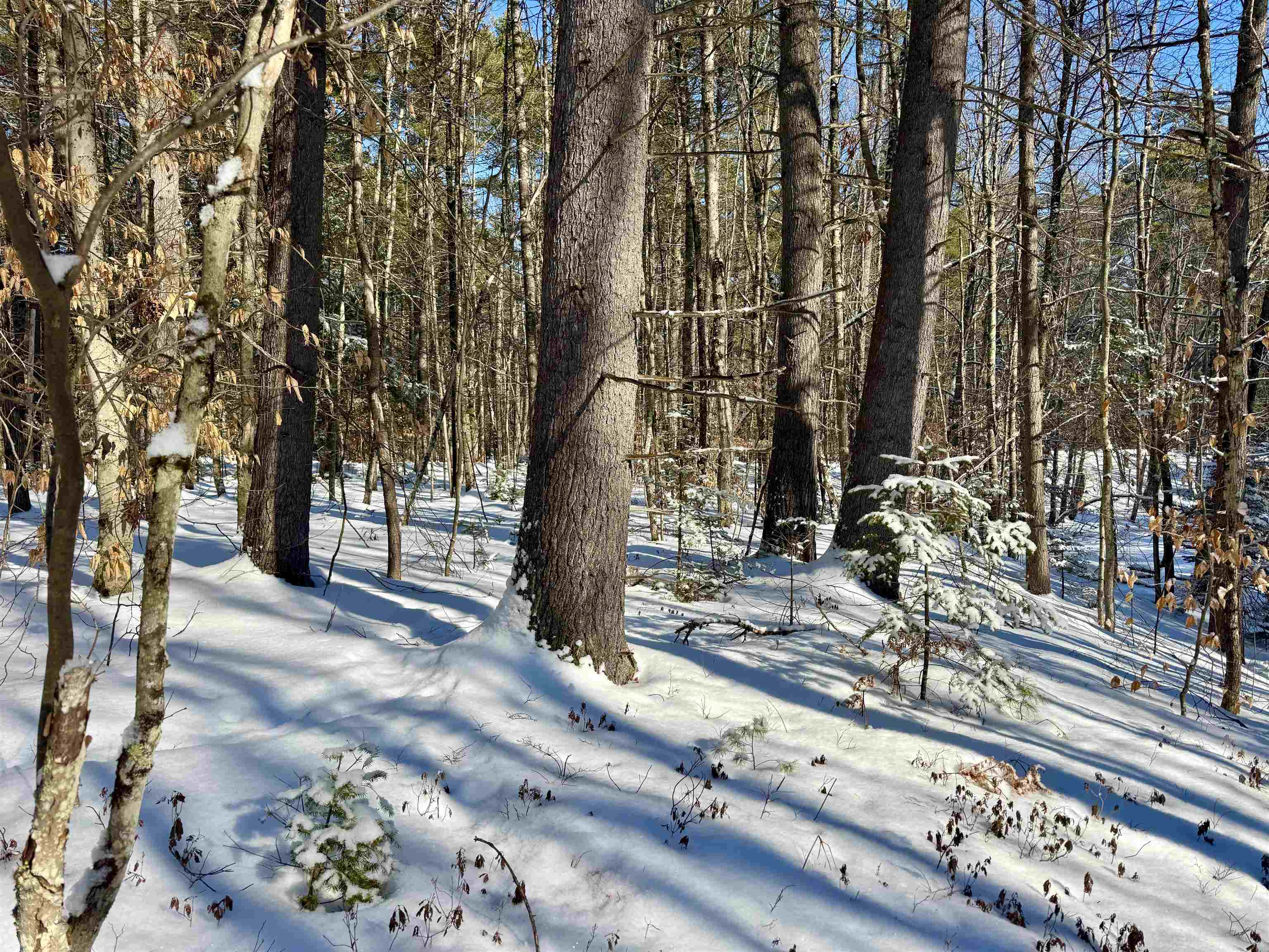 0 Swans Falls Road, Unit LOT B Fryeburg, ME 04037 - Photo 4 of 17