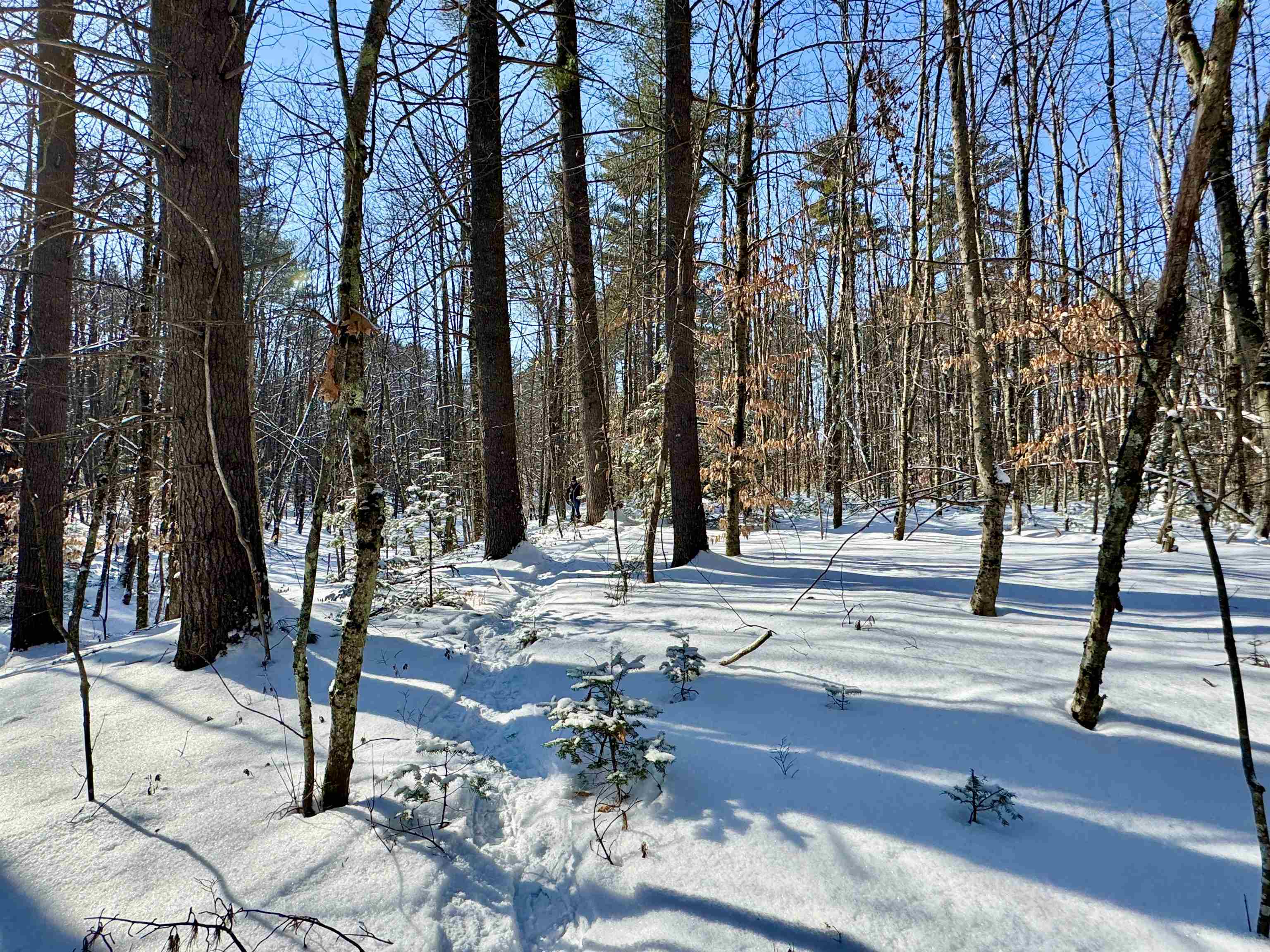 0 Swans Falls Road, Unit LOT B Fryeburg, ME 04037 - Photo 5 of 17