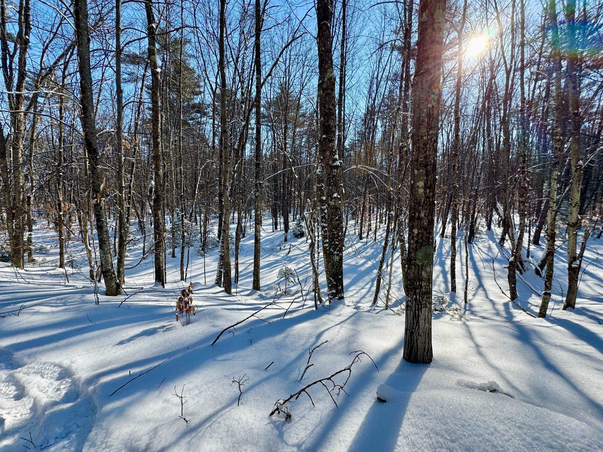 0 Swans Falls Road, Unit LOT B Fryeburg, ME 04037 - Photo 7 of 17
