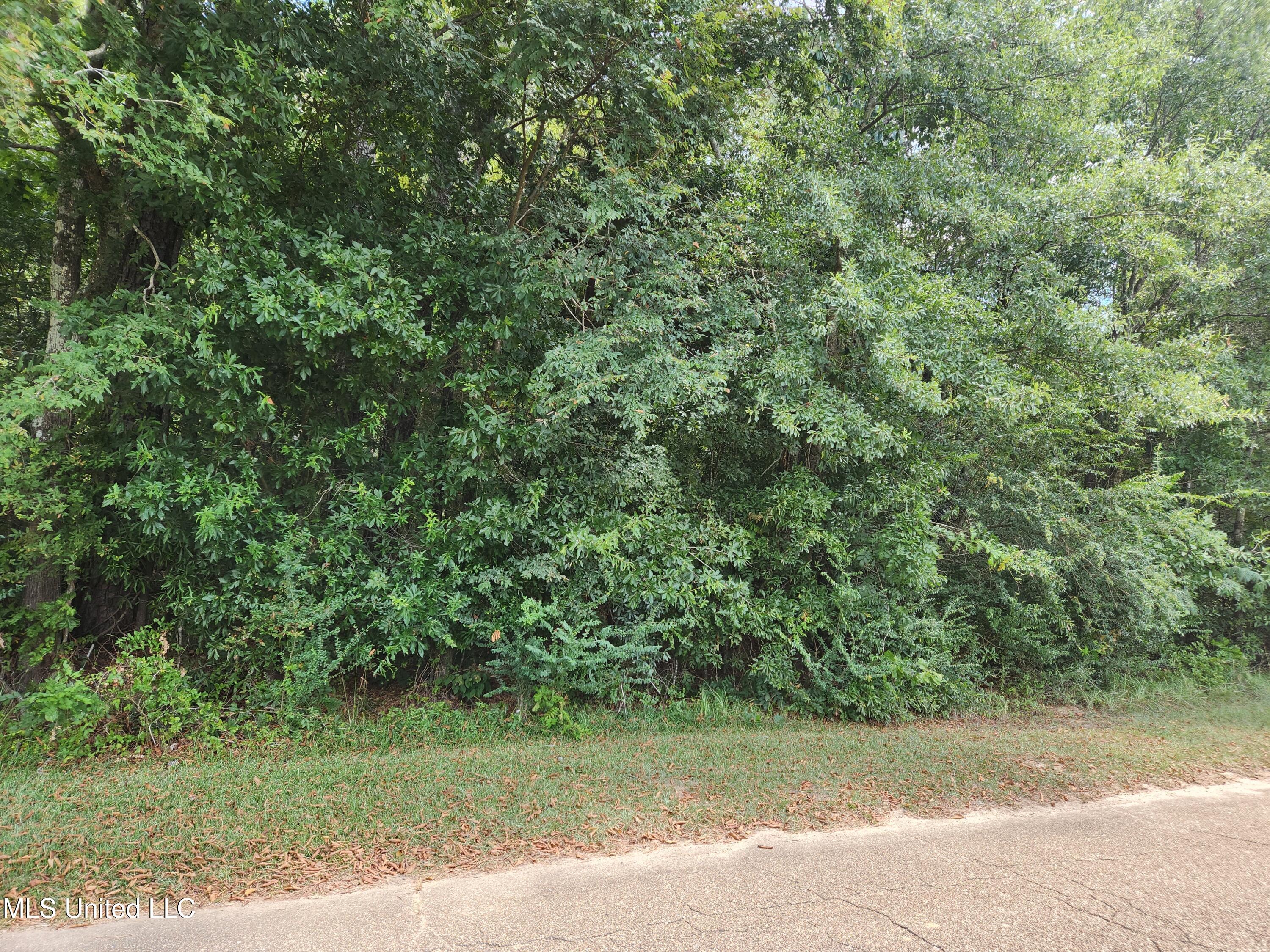 0 Old Byram Road Jackson, MS 39212 - Photo 2 of 5 road view.1