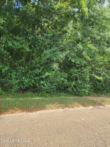 $57,750 | 0 Old Byram Road, Jackson, MS 39212