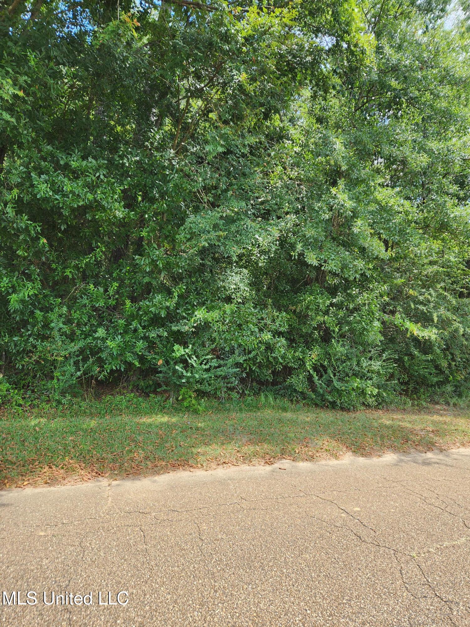 0 Old Byram Road Jackson, MS 39212 - Photo 3 of 5 20250811_132554