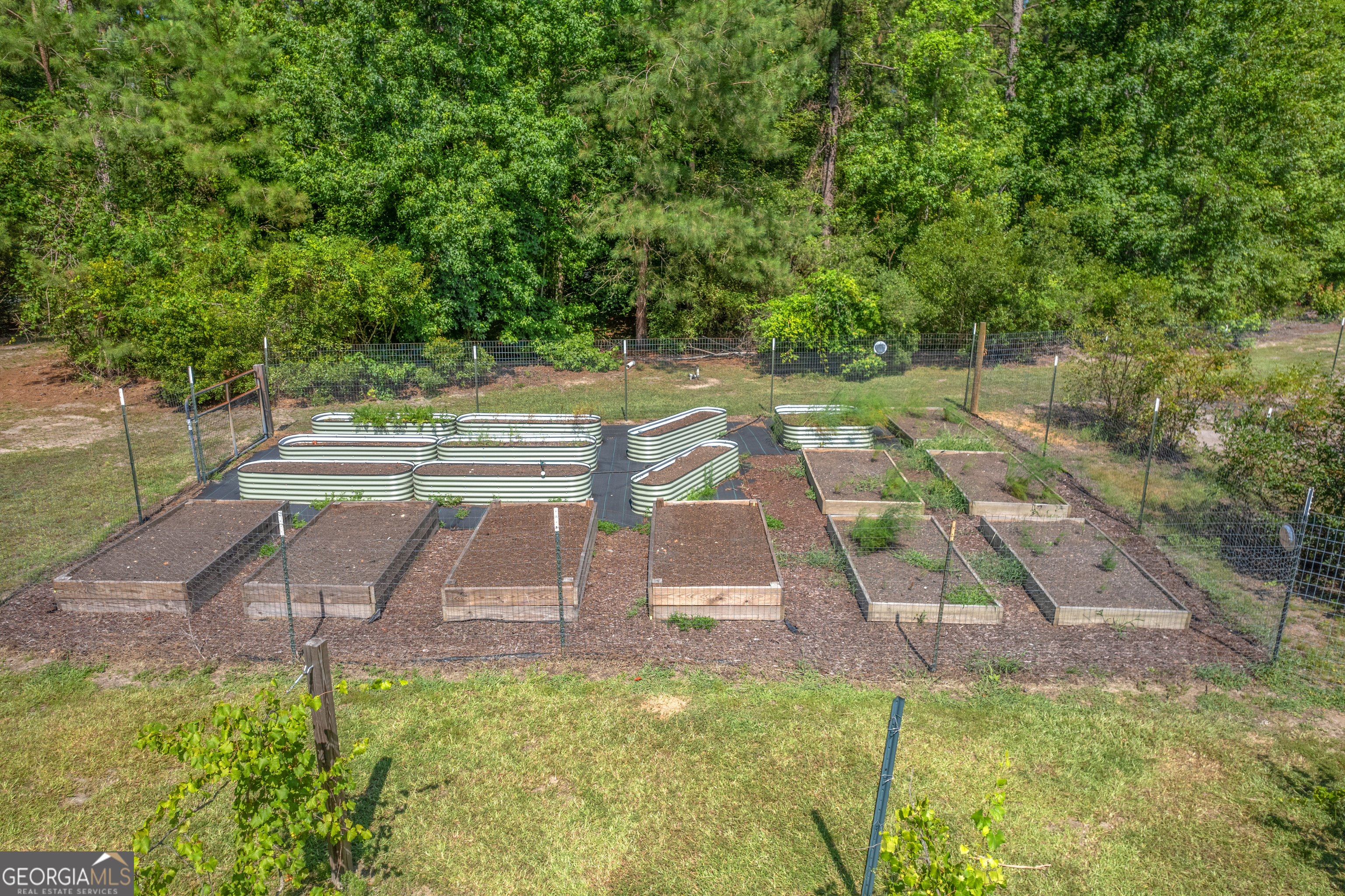 1269 Tarver Road Davisboro, GA 31018 - Photo 19 of 64