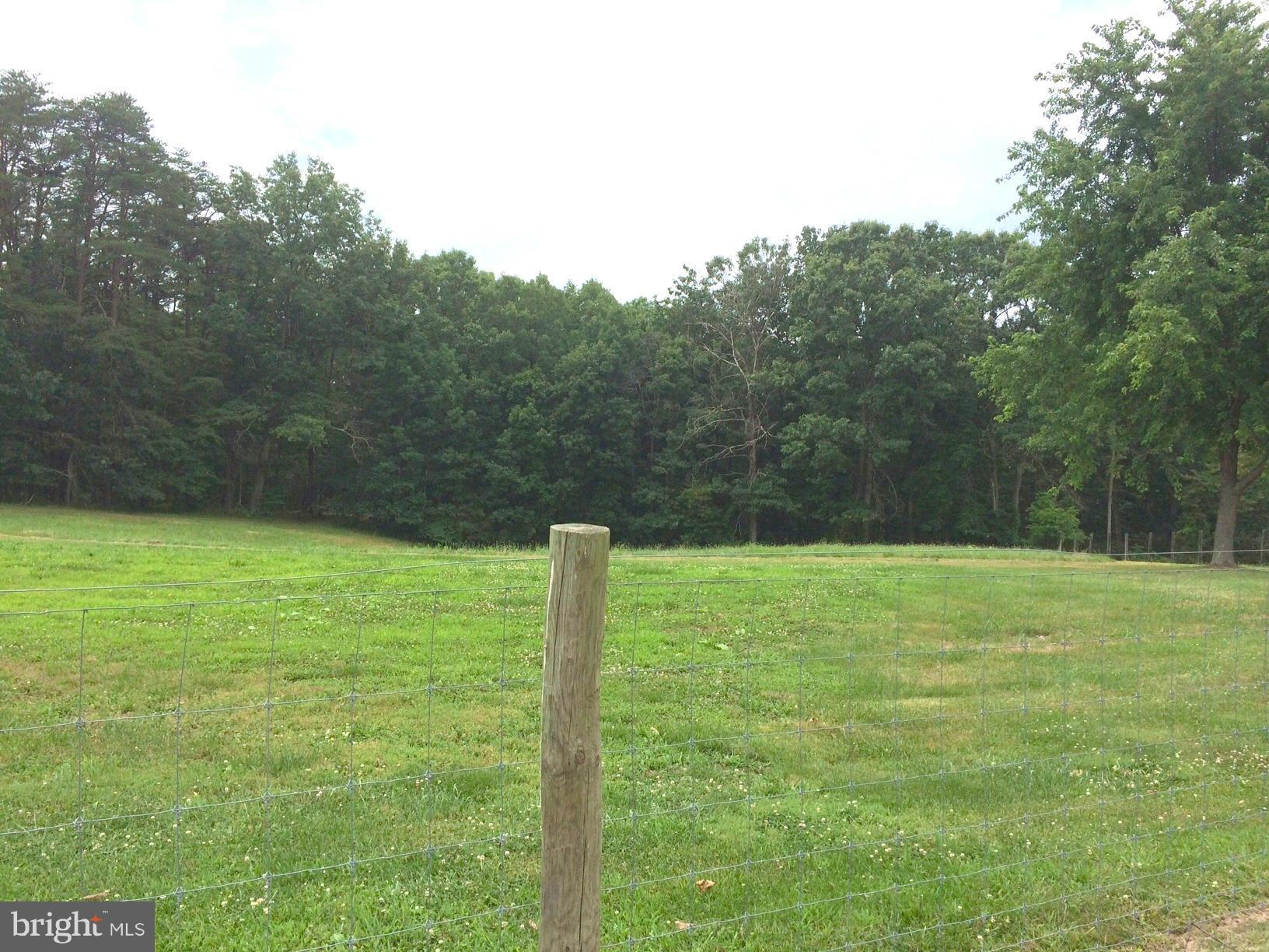 584 Esteppe Road Front Royal, VA 22630 - Photo 2 of 10 View of cleared acreage