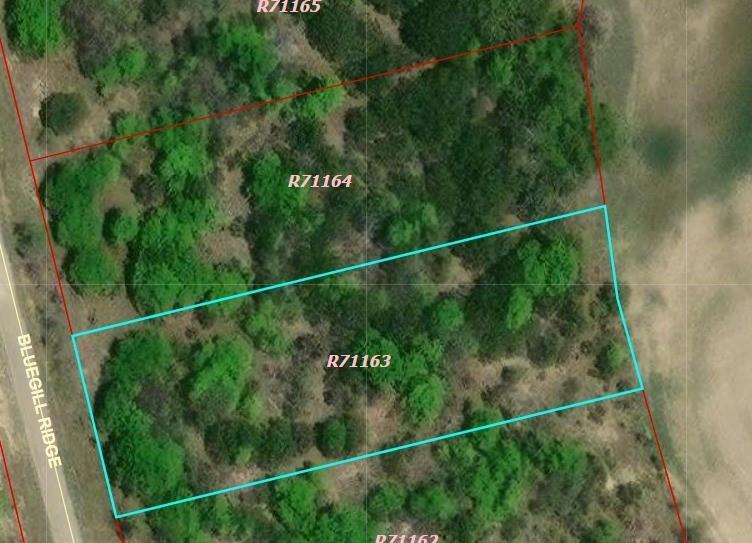 1065 Bluegill Ridge Bluff Dale, TX 76433 - Photo 3 of 19