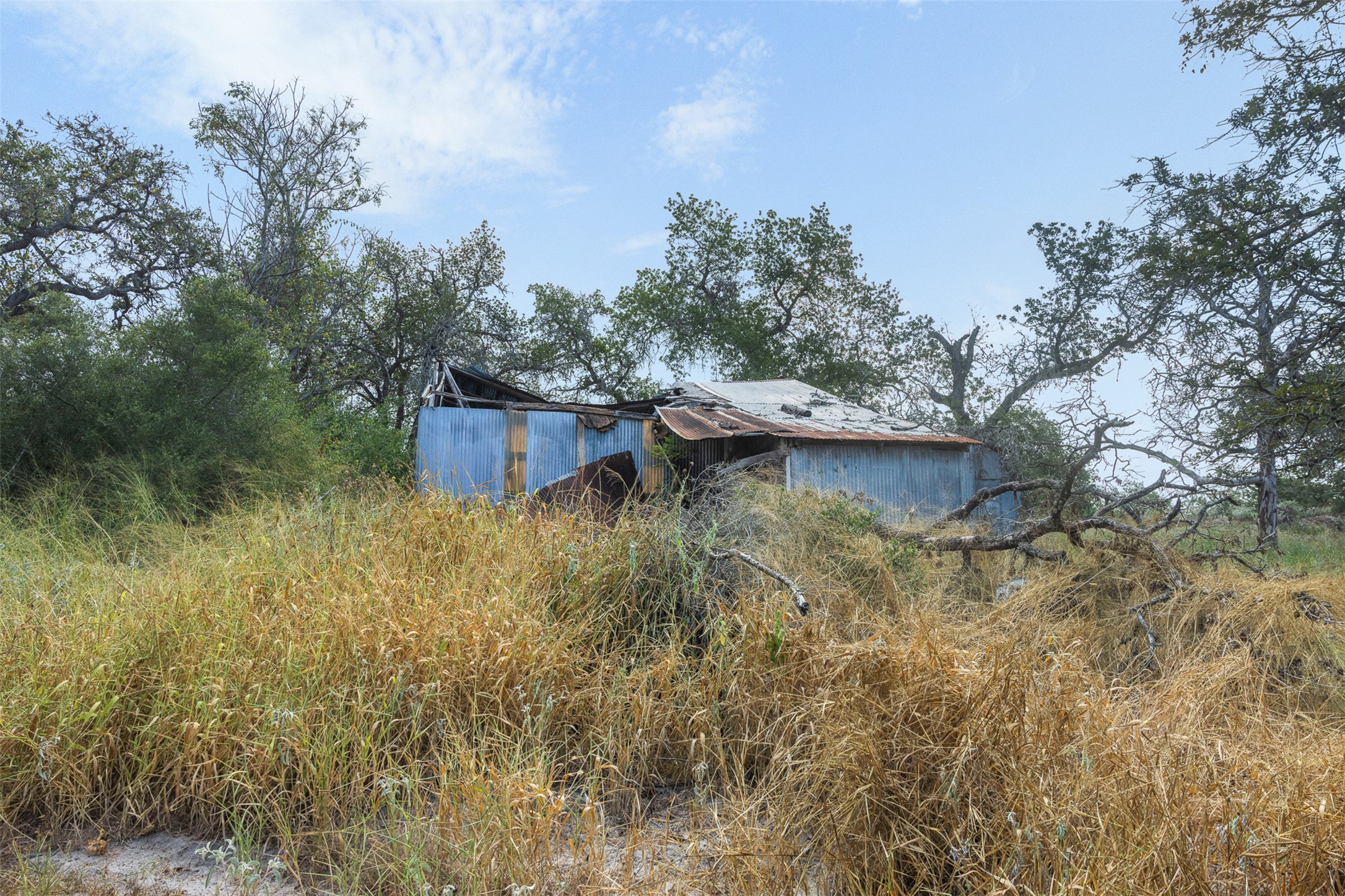 3301 Chuckwagon Road Harwood, TX 78632 - Photo 6 of 36 A rustic outbuilding nestled among mature trees and natural grasses on expansive rural acreage.