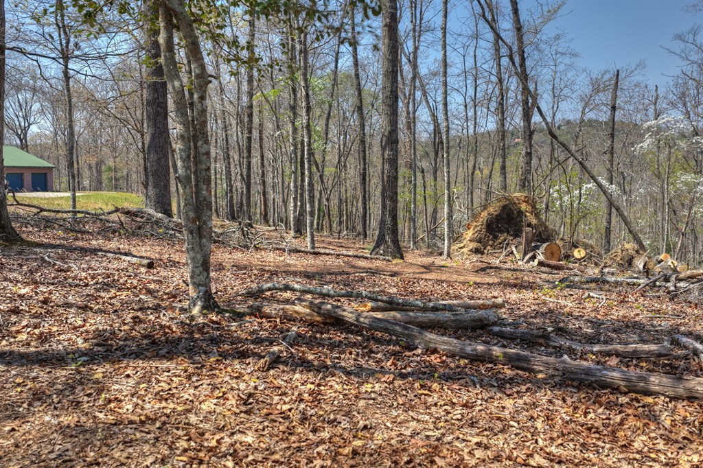 677 Barnes Chapel Road Blue Ridge, GA 30513 - Photo 25 of 40 Gallery Image 25