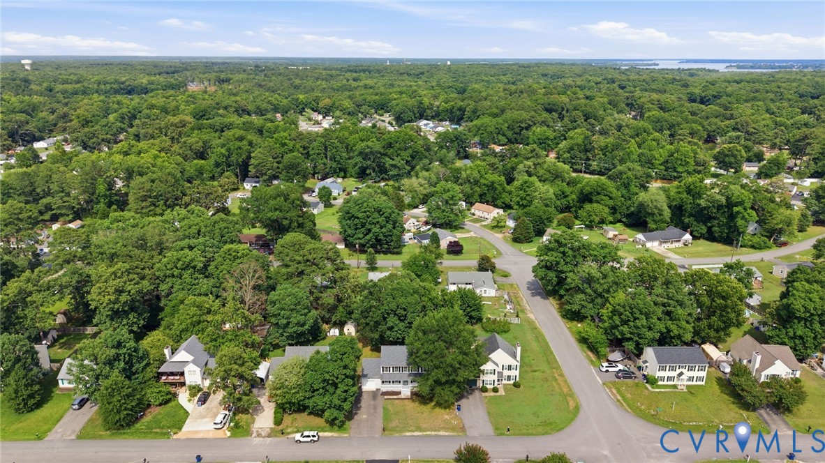 14221 Bermuda Point Court Chester, VA 23836 - Photo 42 of 47