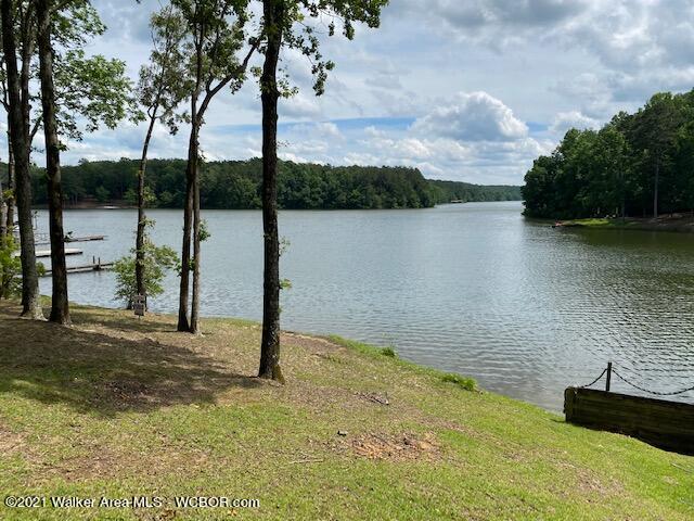 351 Lakeview Road Phil Campbell, AL 35581 - Photo 7 of 33 Gallery Image 7