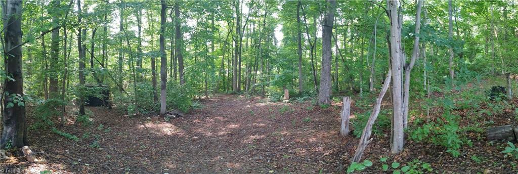 1090 Chestnut Grove Road King, NC 27021 - Photo 25 of 26