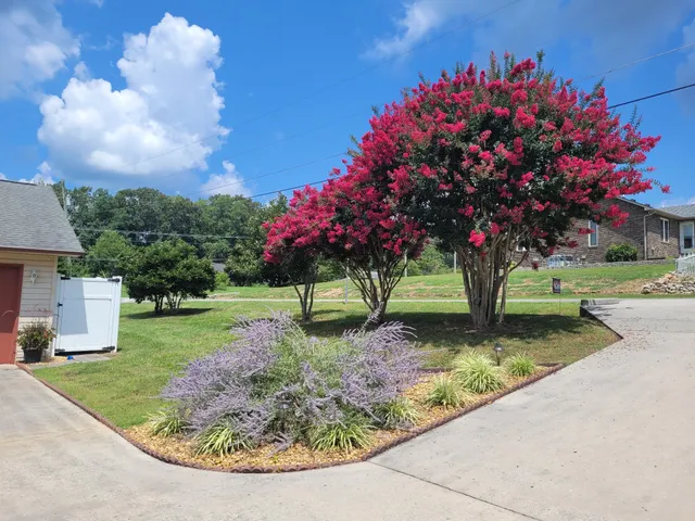 a view of a lake with a yard