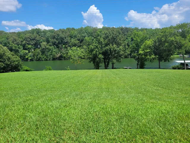 a view of a big yard with a house in the background