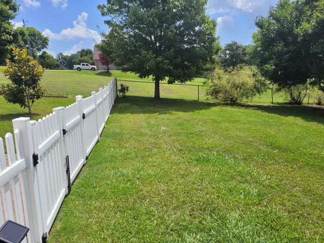 a view of yard with trees