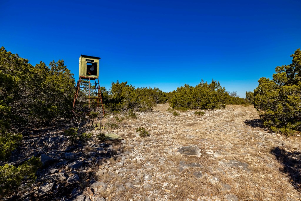 3270 Indian Springs Road Barksdale, TX 78828 - Photo 13 of 16 a view of a house with a yard