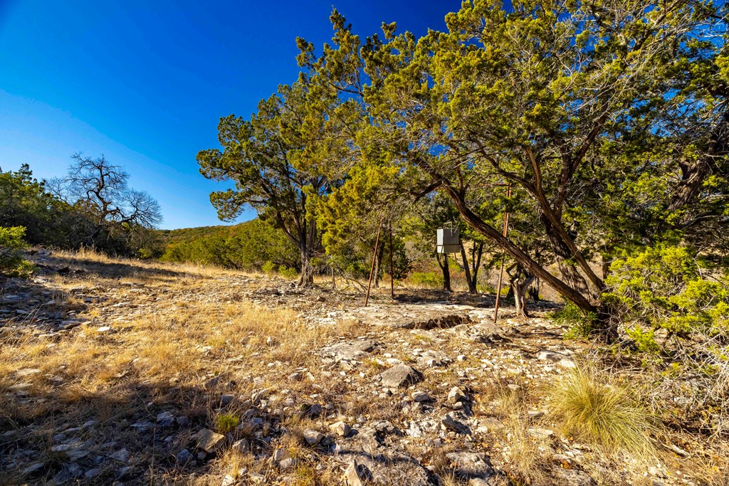 3270 Indian Springs Road Barksdale, TX 78828 - Photo 9 of 16 a view of a yard with a tree