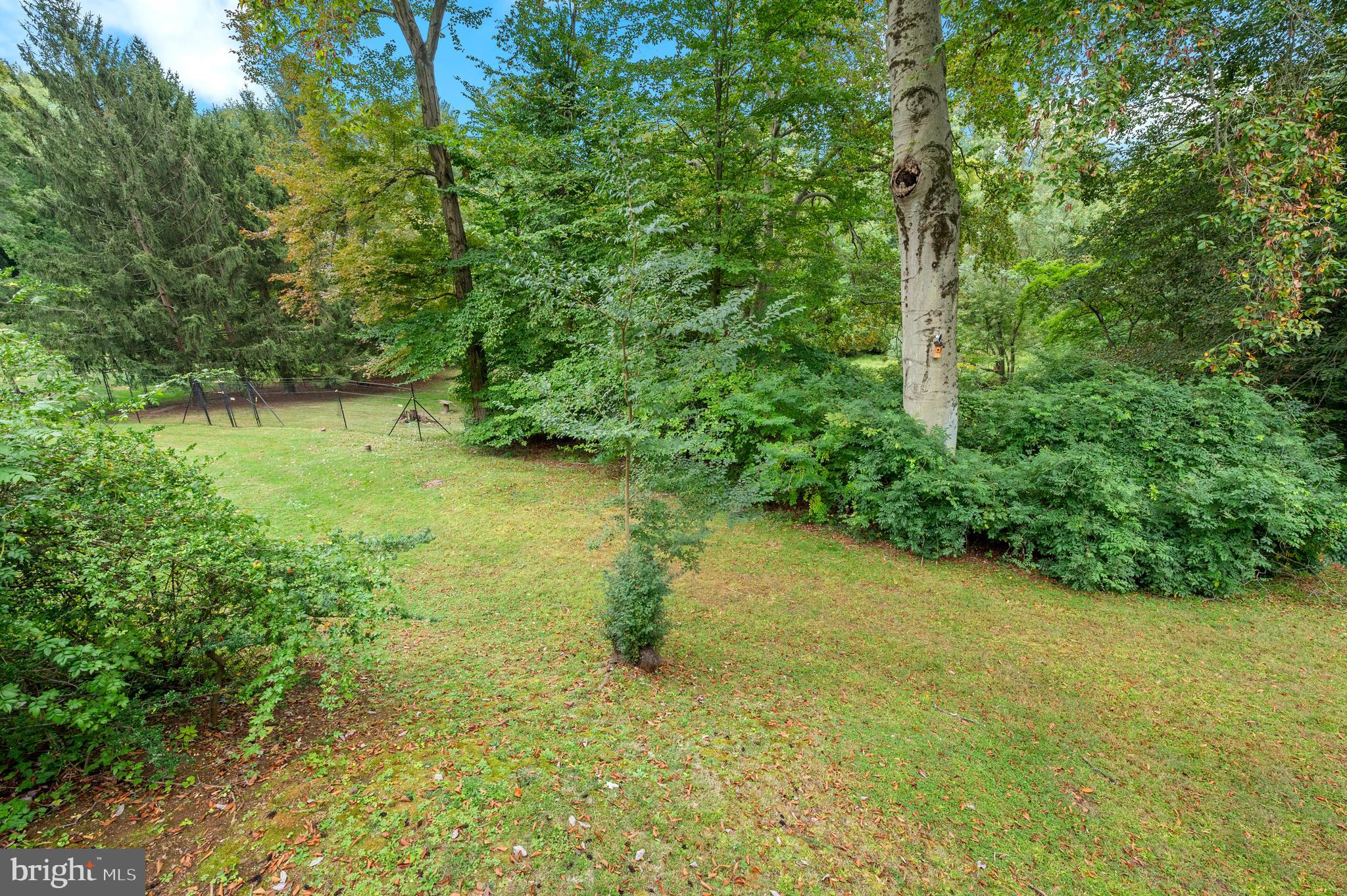 829 Black Rock Road Gladwyne, PA 19035 - Photo 16 of 20 a view of a yard with plants and large trees