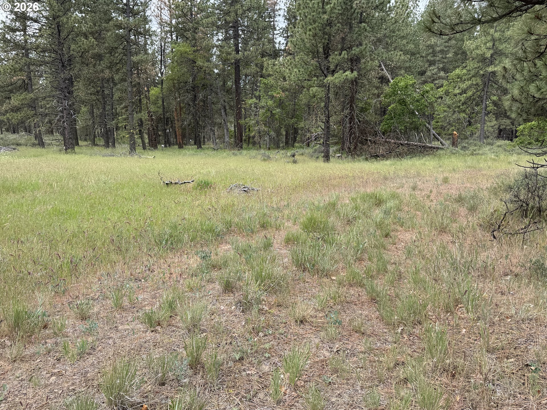 Old Mountain Road Goldendale, WA 98620 - Photo 7 of 41