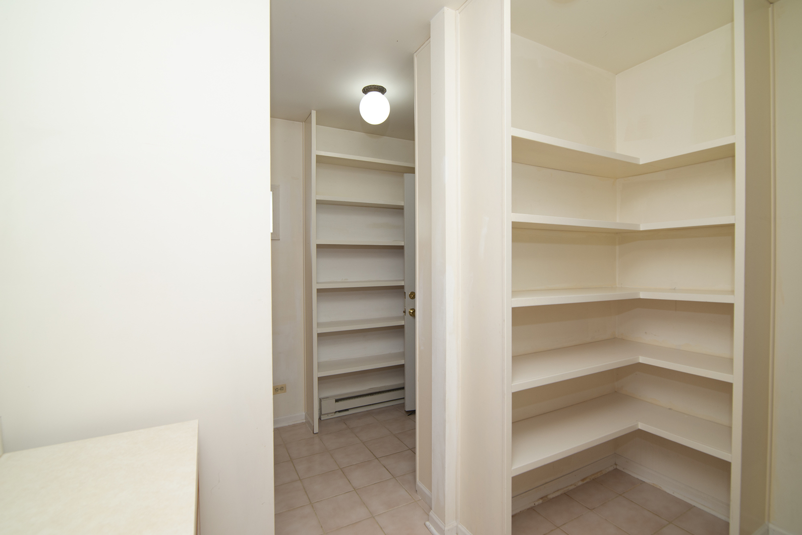 725 Washington Boulevard Hoffman Estates, IL 60169 - Photo 10 of 32 a view of walk in closet with empty racks