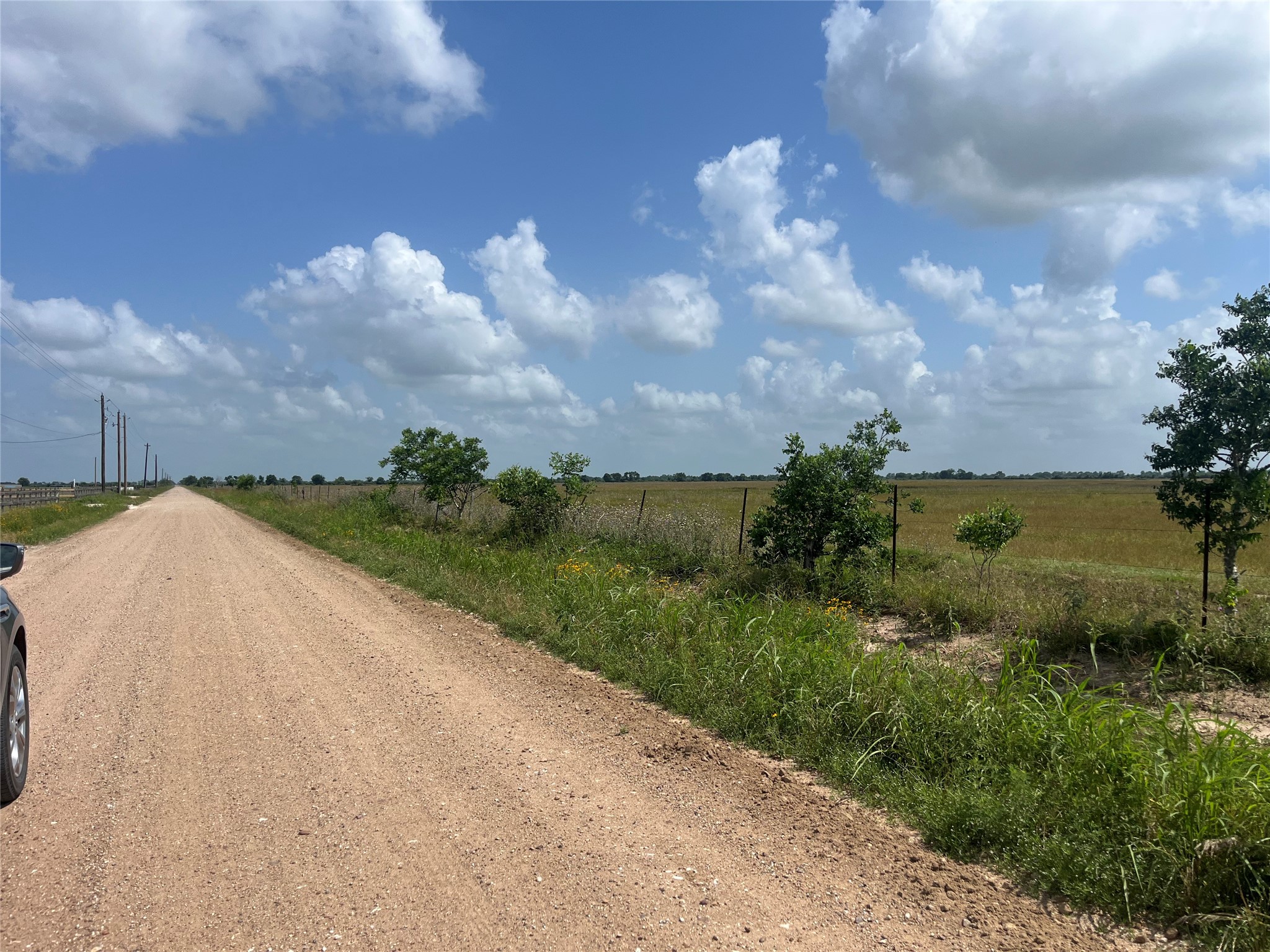1297 McDonald Road Eagle Lake, TX 77434 - Photo 5 of 10 a view of a pathway both side of grassy field with shrub