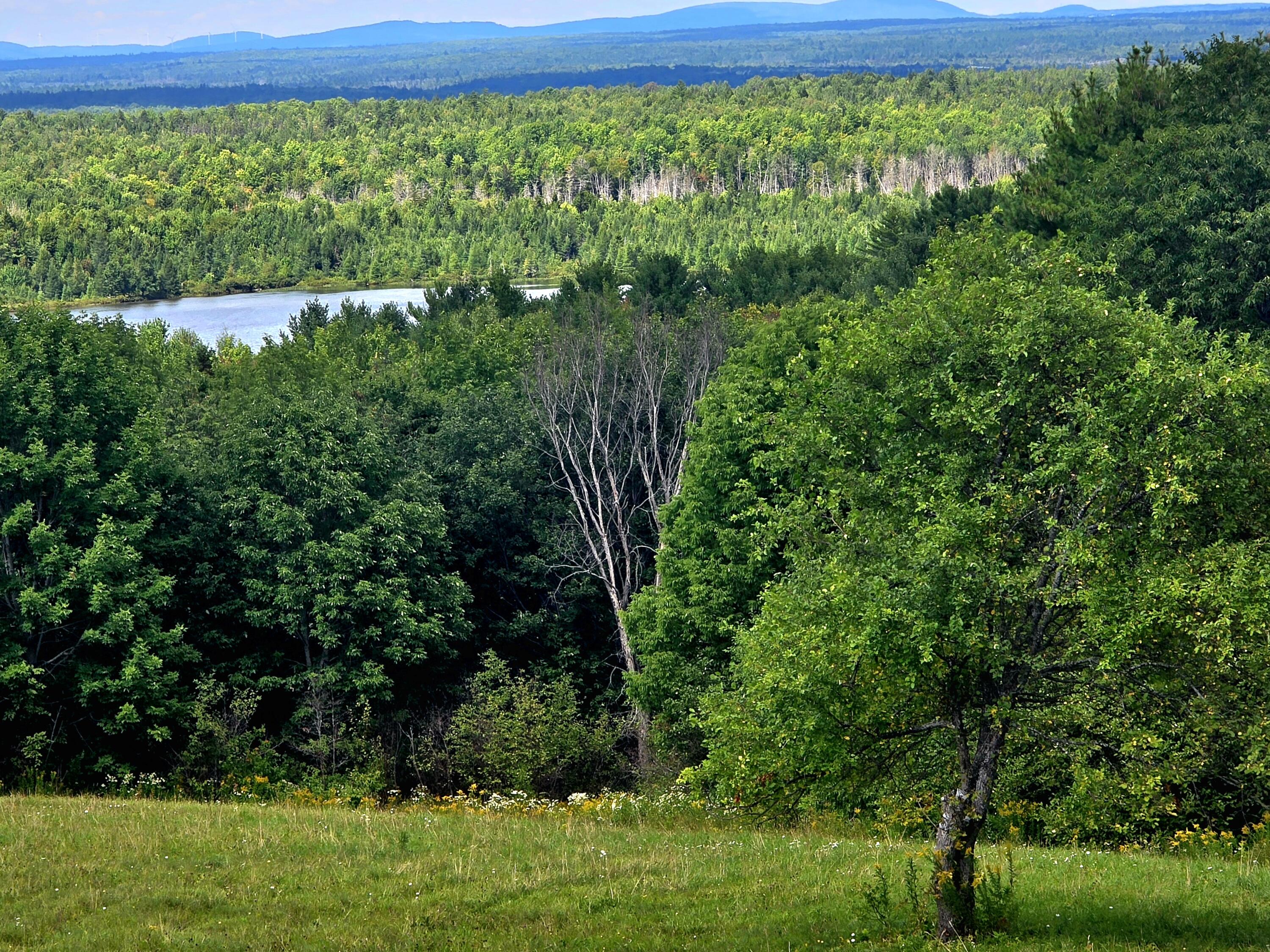 226 Harris Hill Road Weston, ME 04424 - Photo 9 of 46 20260815_133918