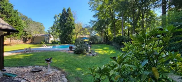 a view of a garden with small trees