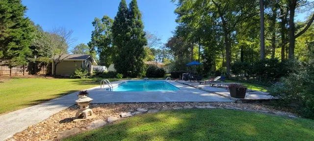 a view of a garden with large trees