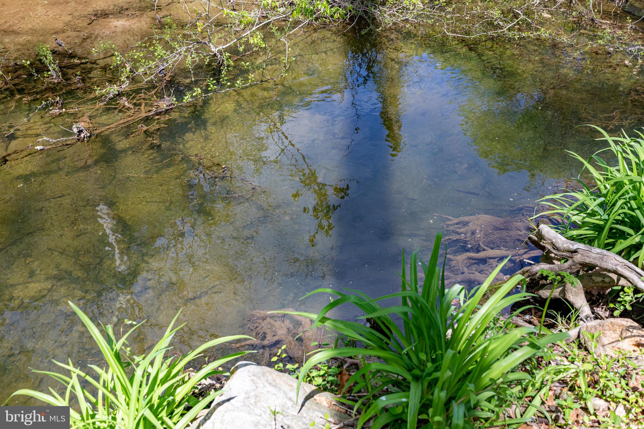 2310 Putnam Road Forest Hill, MD 21050 - Photo 8 of 90 Tranquil waters reflect nature's beauty.