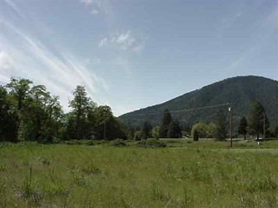 155 Deer Creek Road Selma, OR 97538 - Photo 1 of 1 Primary Photo