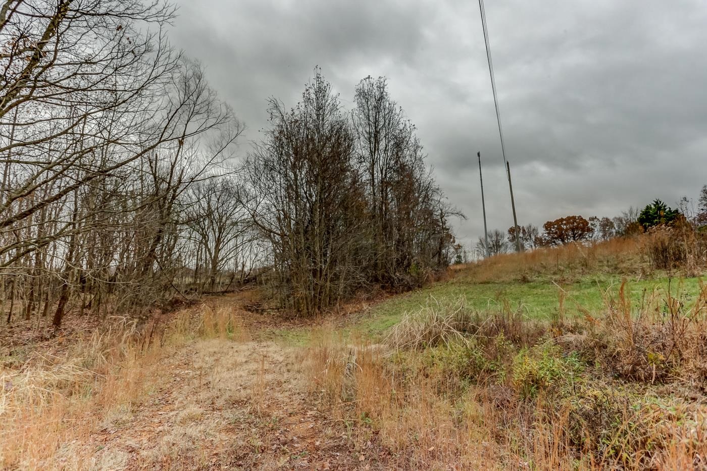 9071 Tracy Road Atoka, TN 38004 - Photo 3 of 17 Gallery Image 3