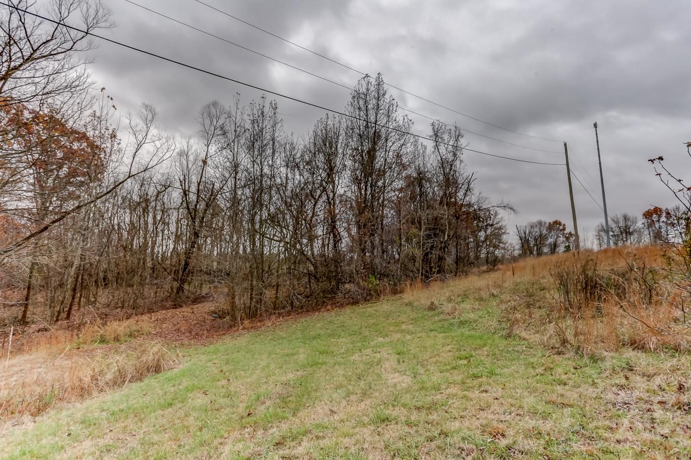 9071 Tracy Road Atoka, TN 38004 - Photo 4 of 17 Gallery Image 4