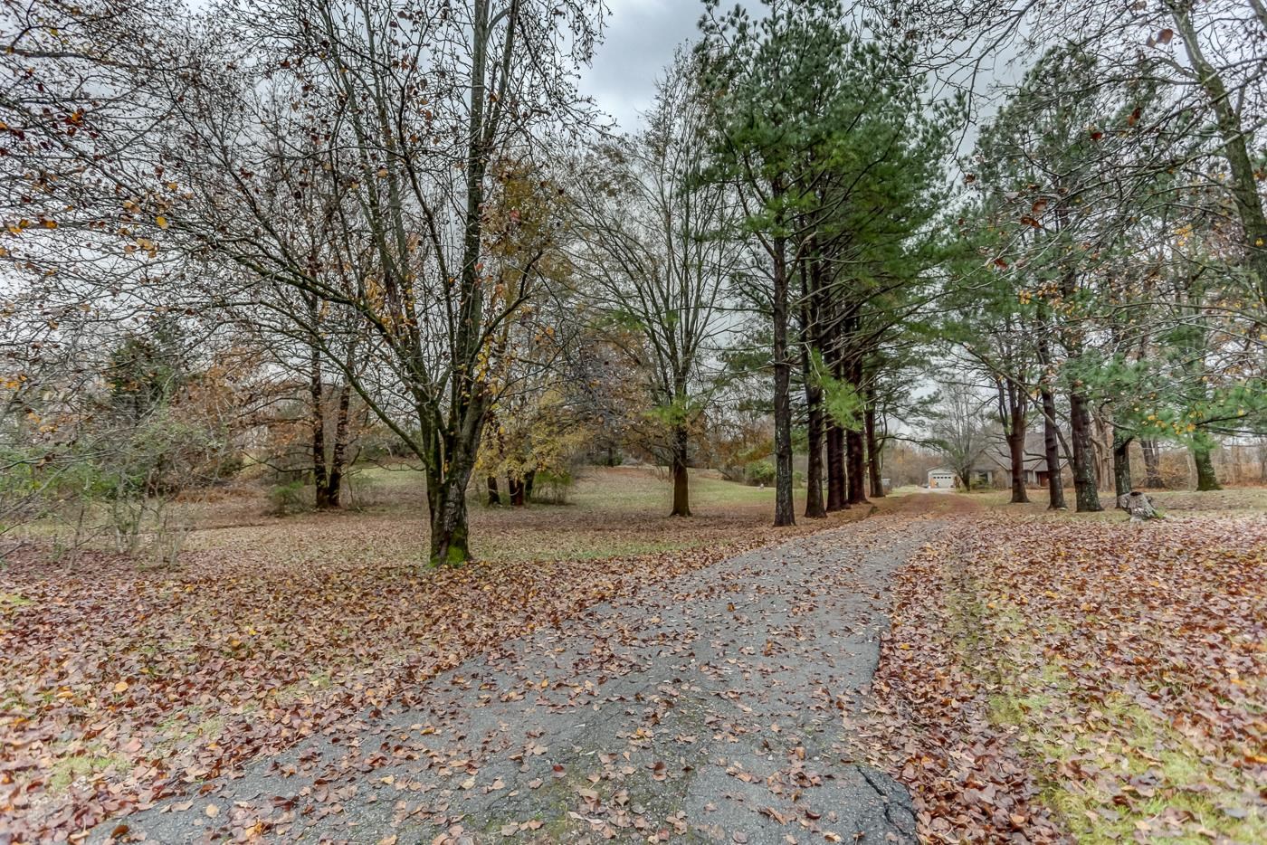 9071 Tracy Road Atoka, TN 38004 - Photo 6 of 17 Gallery Image 6