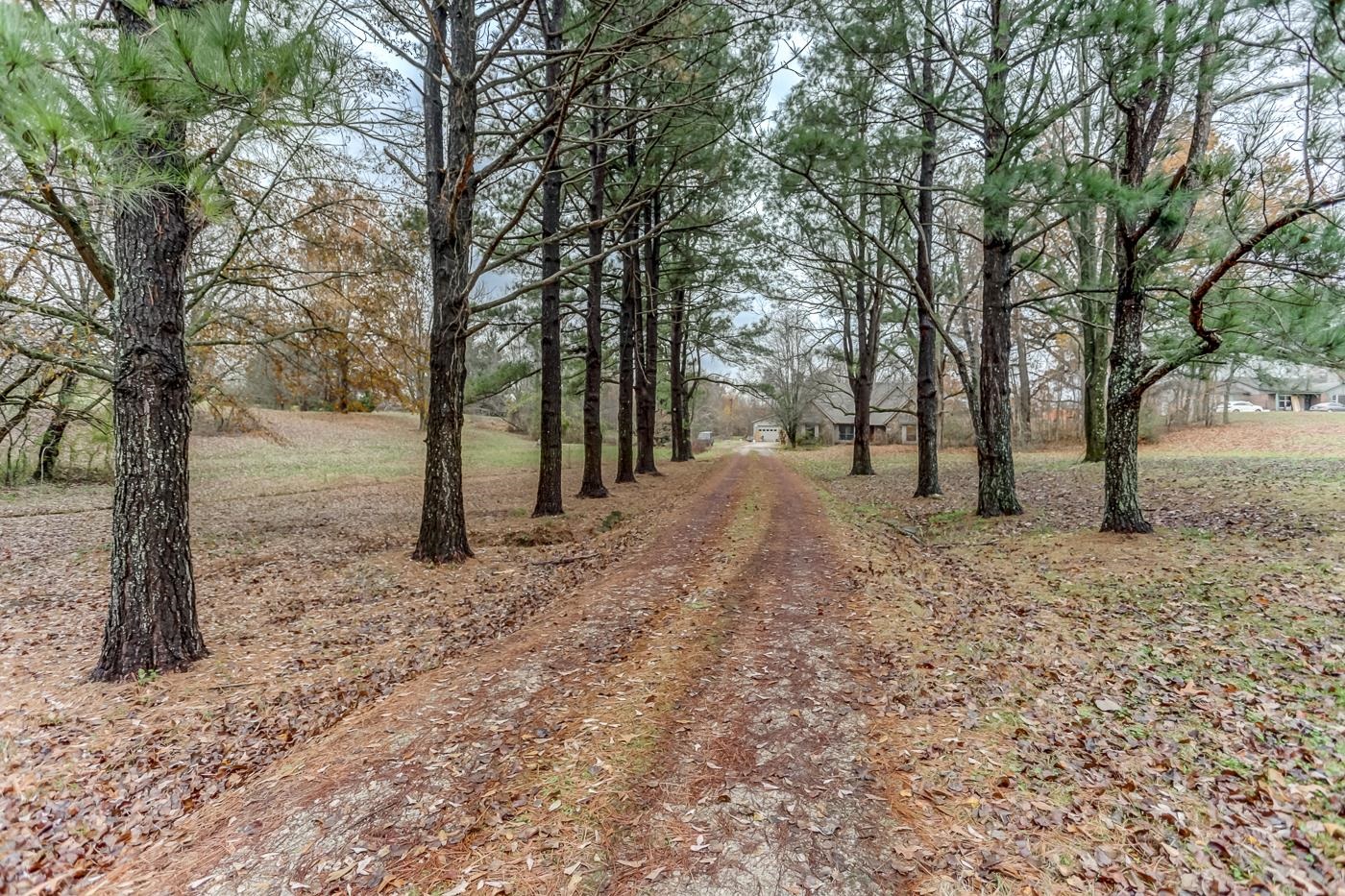 9071 Tracy Road Atoka, TN 38004 - Photo 7 of 17 Gallery Image 7